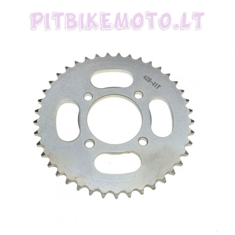 22. Galinė žvaigždutė 428 41D LAU052