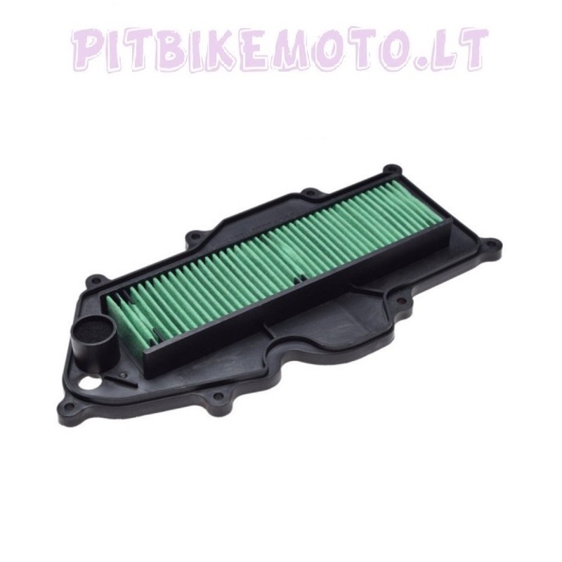 19. Piaggio Vespa GTS 125-300 oro filtras KRB076-PVE3045
